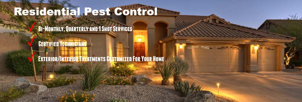 Residential Pest Control Adelaide